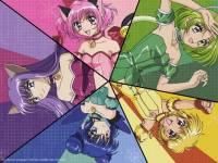 poze - poze ,poze si iar poze cred ca vati dat deja - Tokyo Mew Mew Power